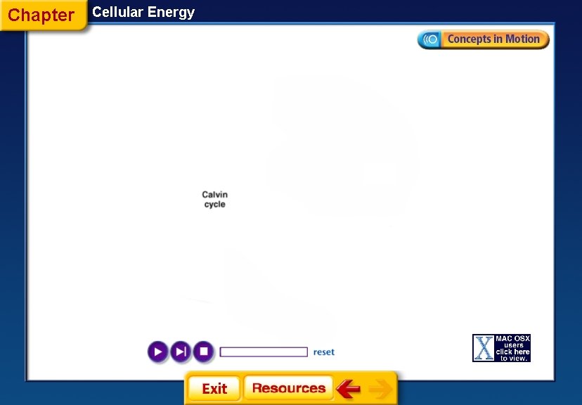 Chapter Cellular Energy 