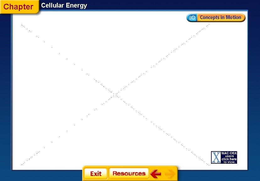 Chapter Cellular Energy 