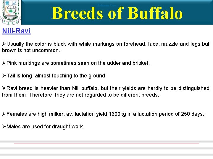 Breeds of Buffalo Holstein Cow Nili-Ravi ØUsually the color is black with white markings