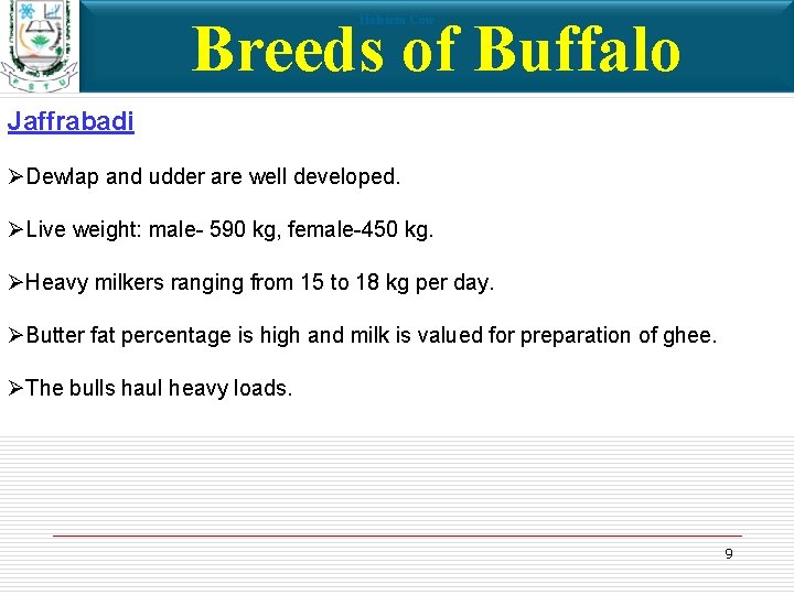 Breeds of Buffalo Holstein Cow Jaffrabadi ØDewlap and udder are well developed. ØLive weight: