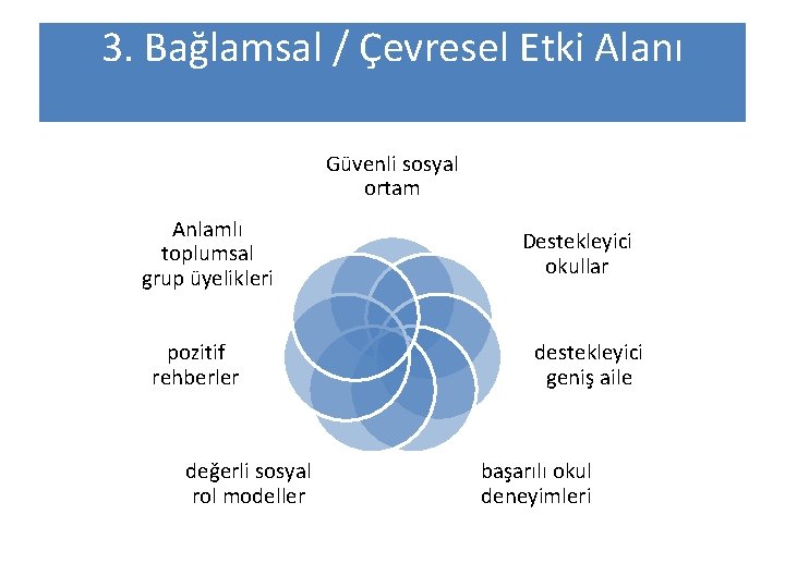 3. Bağlamsal / Çevresel Etki Alanı Güvenli sosyal ortam Anlamlı toplumsal grup üyelikleri pozitif