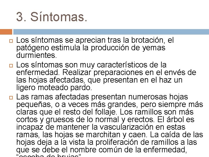 3. Síntomas. Los síntomas se aprecian tras la brotación, el patógeno estimula la producción