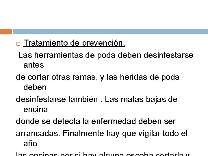 Tratamiento de prevención. Las herramientas de poda deben desinfestarse antes de cortar otras ramas,