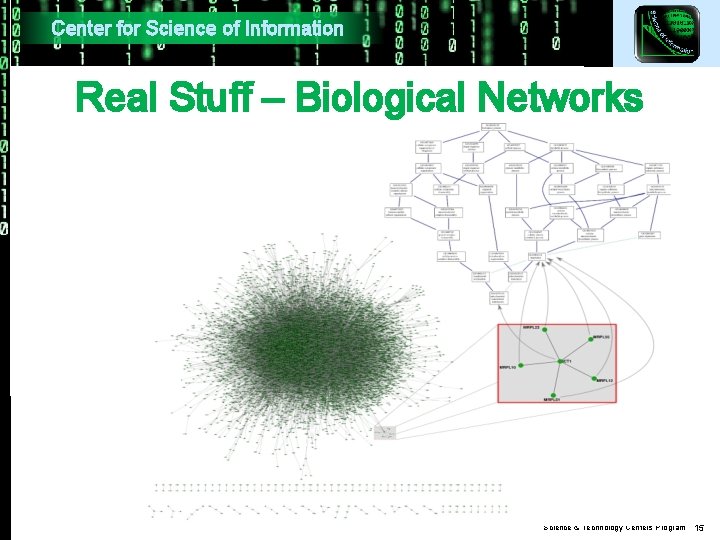 Center for Science of Information Real Stuff – Biological Networks Science & Technology Centers