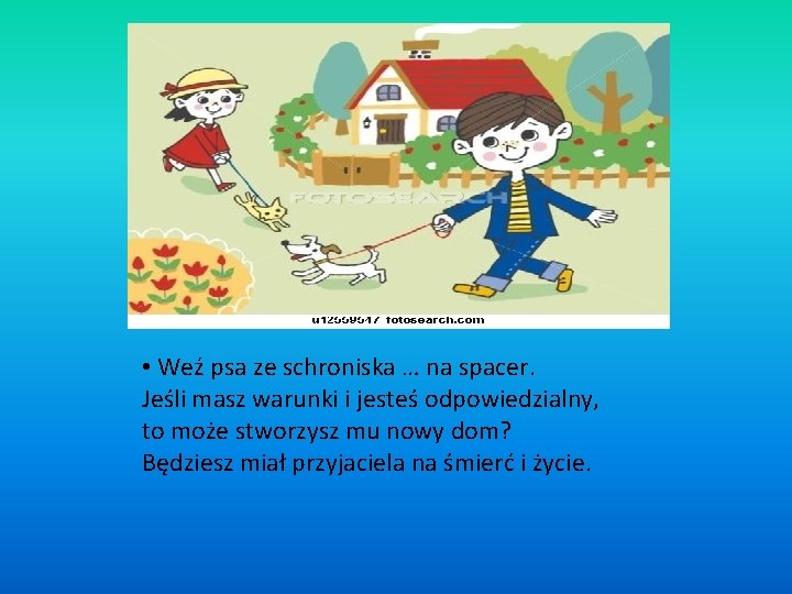  • Weź psa ze schroniska … na spacer. Jeśli masz warunki i jesteś