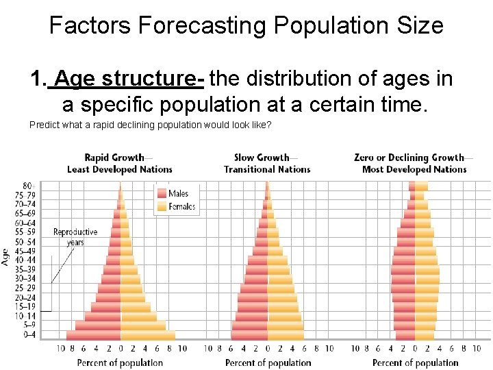 Factors Forecasting Population Size 1. Age structure- the distribution of ages in a specific