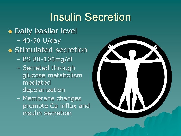 Insulin Secretion u Daily basilar level – 40 -50 U/day u Stimulated secretion –