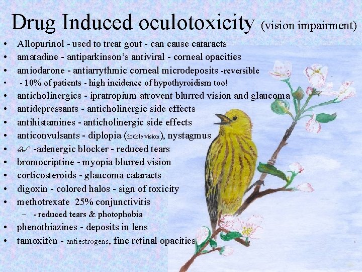 Drug Induced oculotoxicity (vision impairment) • Allopurinol - used to treat gout - can