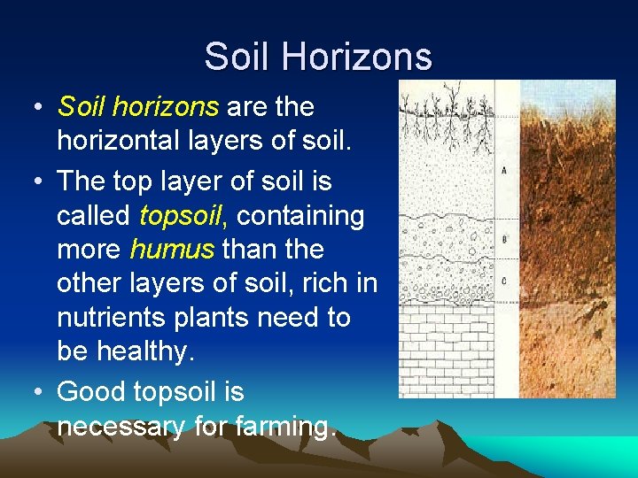 Soil Horizons • Soil horizons are the horizontal layers of soil. • The top