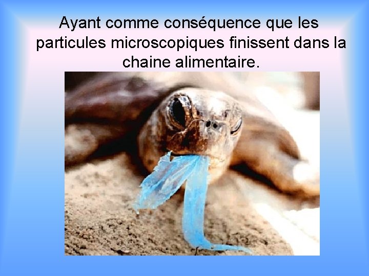 Ayant comme conséquence que les particules microscopiques finissent dans la chaine alimentaire. 