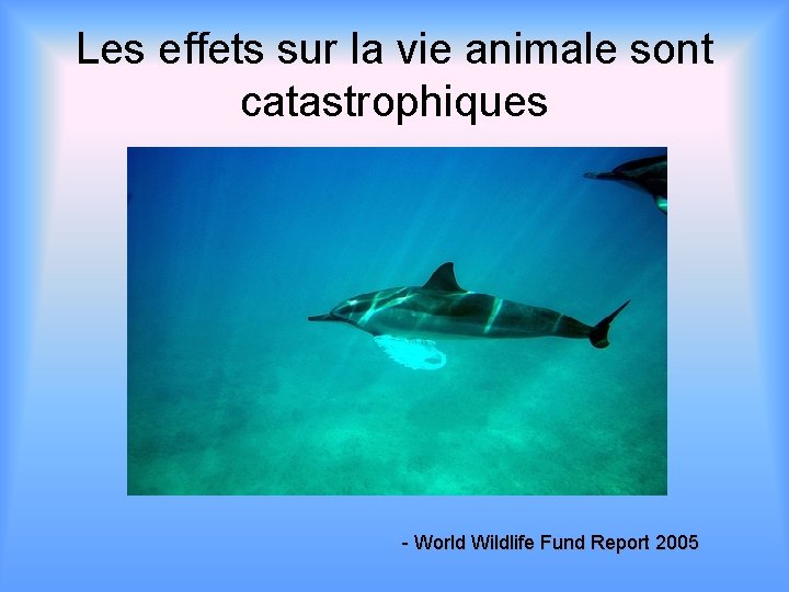 Les effets sur la vie animale sont catastrophiques - World Wildlife Fund Report 2005
