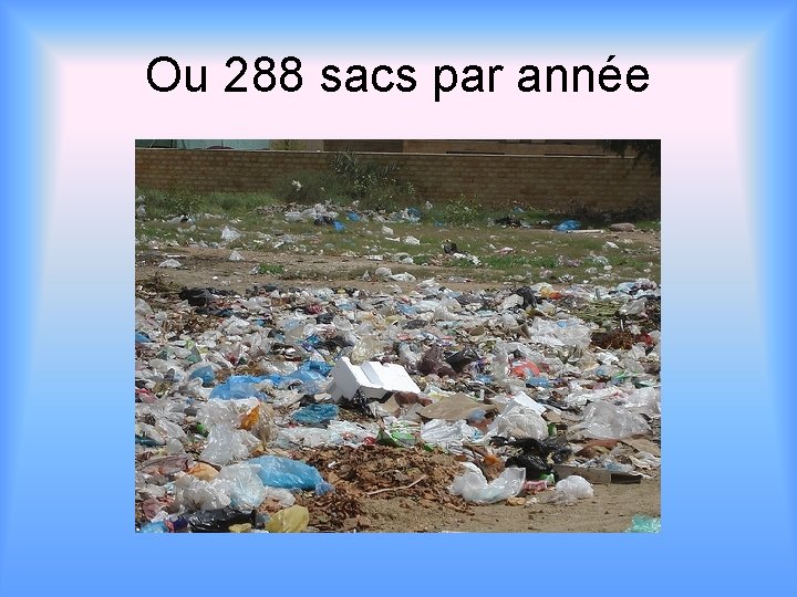 Ou 288 sacs par année 