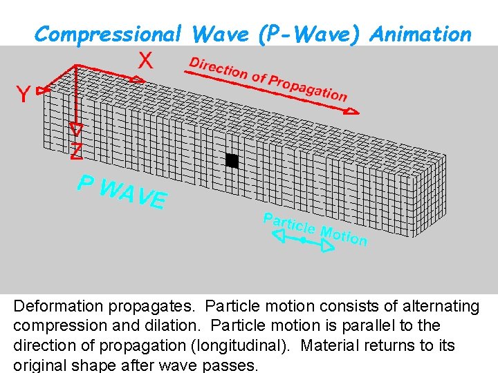 Compressional Wave (P-Wave) Animation Deformation propagates. Particle motion consists of alternating compression and dilation.