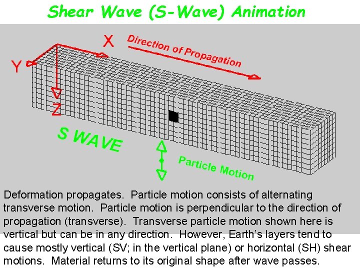 Shear Wave (S-Wave) Animation Deformation propagates. Particle motion consists of alternating transverse motion. Particle