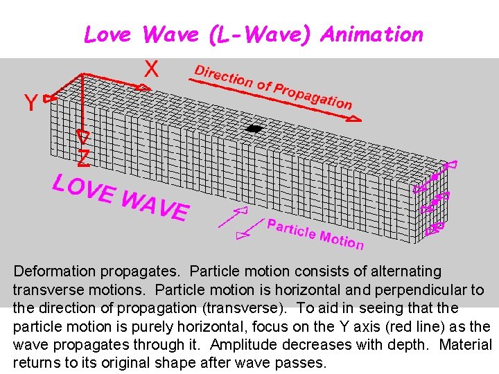 Love Wave (L-Wave) Animation Deformation propagates. Particle motion consists of alternating transverse motions. Particle