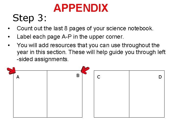 Step 3: • • • APPENDIX Count out the last 8 pages of your