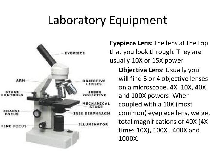 Laboratory Equipment Eyepiece Lens: the lens at the top that you look through. They