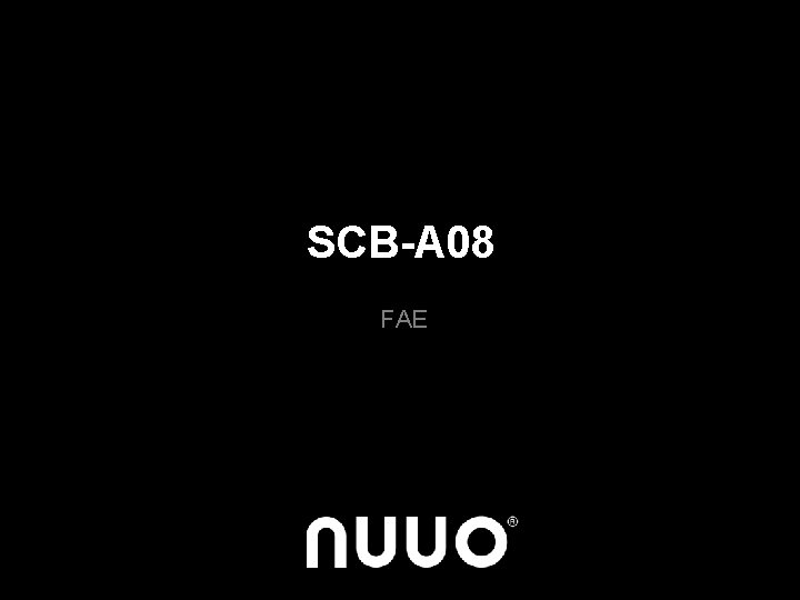 SCB-A 08 FAE 