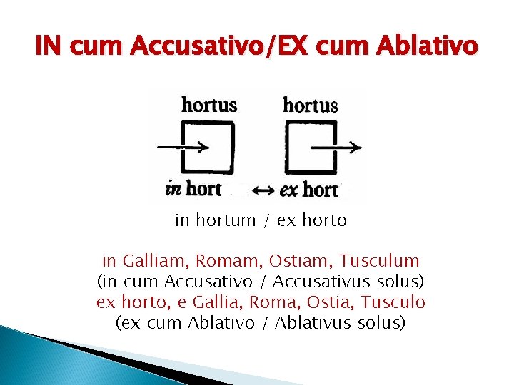 IN cum Accusativo/EX cum Ablativo in hortum / ex horto in Galliam, Romam, Ostiam,