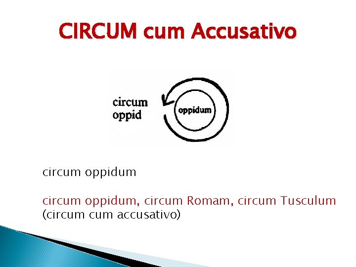 CIRCUM cum Accusativo circum oppidum, circum Romam, circum Tusculum (circum accusativo) 