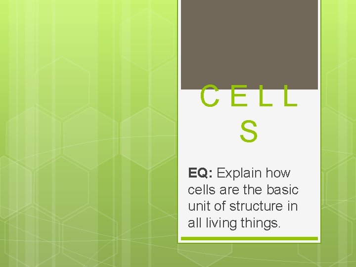 CELL S EQ: Explain how cells are the basic unit of structure in all