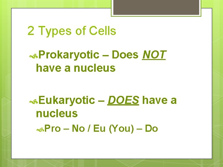 2 Types of Cells Prokaryotic – Does NOT have a nucleus Eukaryotic – DOES