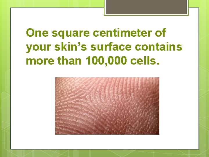 One square centimeter of your skin’s surface contains more than 100, 000 cells. 