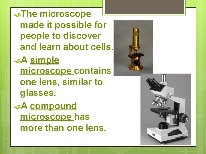  The microscope made it possible for people to discover and learn about cells.