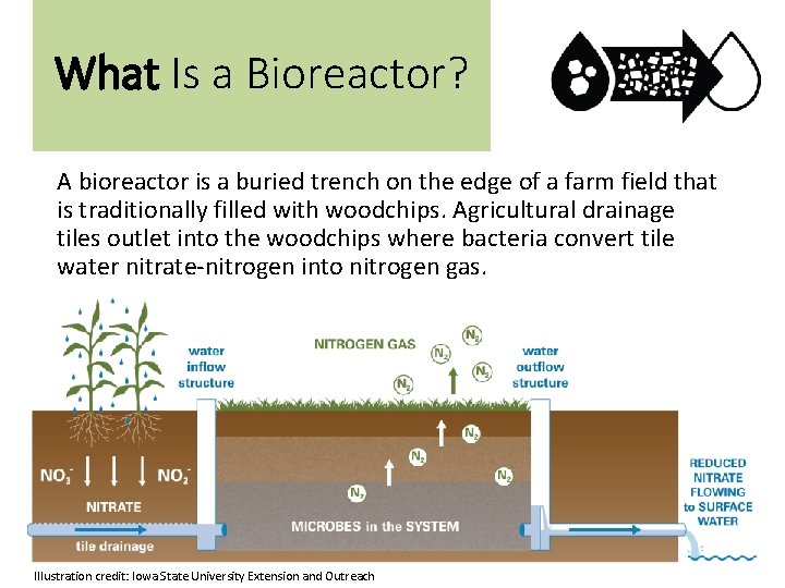 What Is a Bioreactor? A bioreactor is a buried trench on the edge of