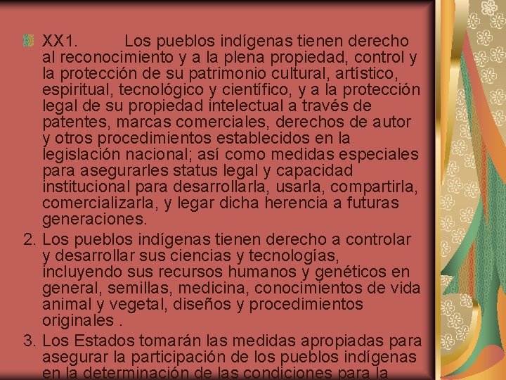 XX 1. Los pueblos indígenas tienen derecho al reconocimiento y a la plena propiedad,