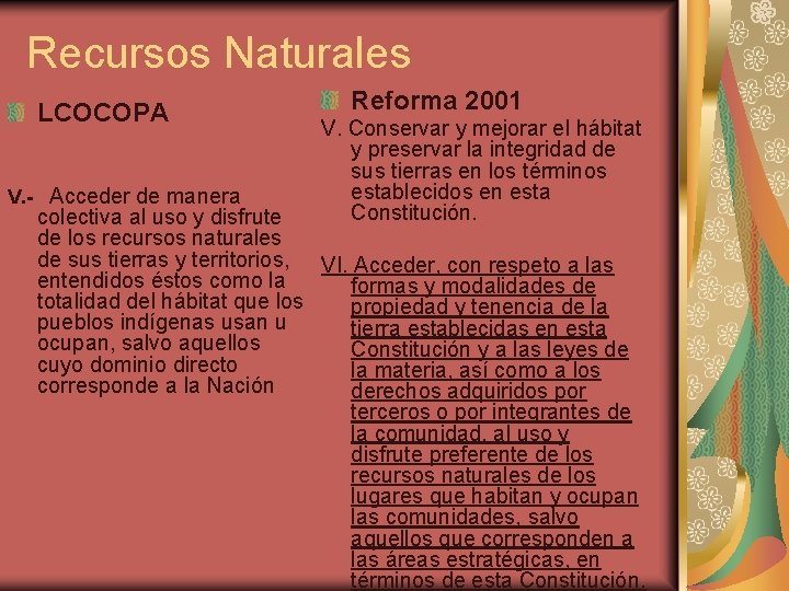 Recursos Naturales LCOCOPA V. - Acceder de manera Reforma 2001 V. Conservar y mejorar