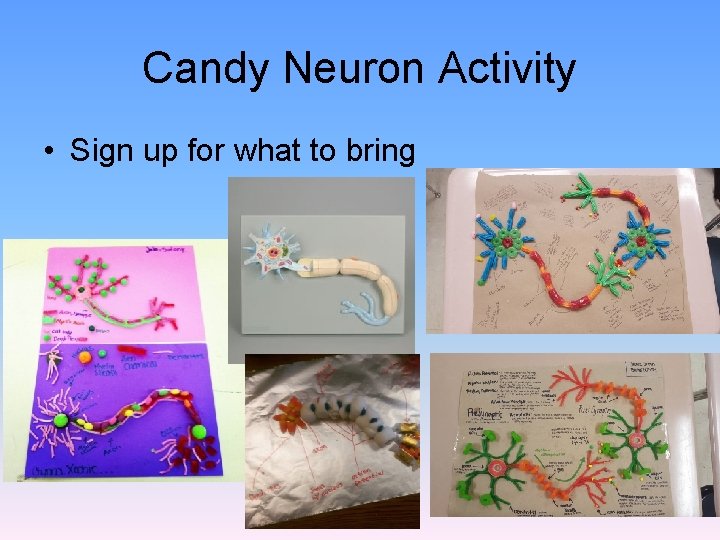 Candy Neuron Activity • Sign up for what to bring 