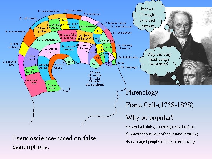 Just as I Thought, low self esteem Why can’t my skull bumps be prettier?