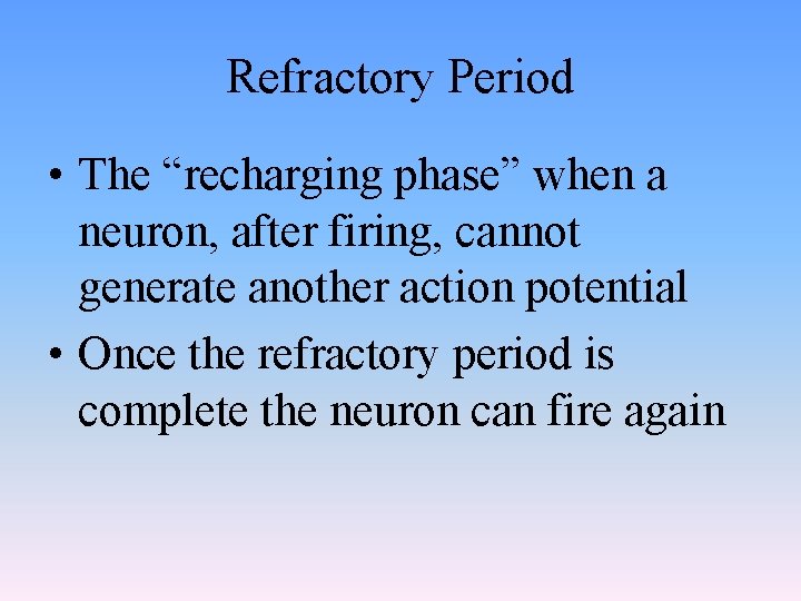 Refractory Period • The “recharging phase” when a neuron, after firing, cannot generate another