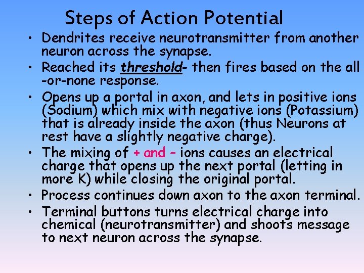 Steps of Action Potential • Dendrites receive neurotransmitter from another neuron across the synapse.