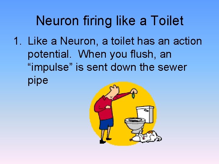Neuron firing like a Toilet 1. Like a Neuron, a toilet has an action
