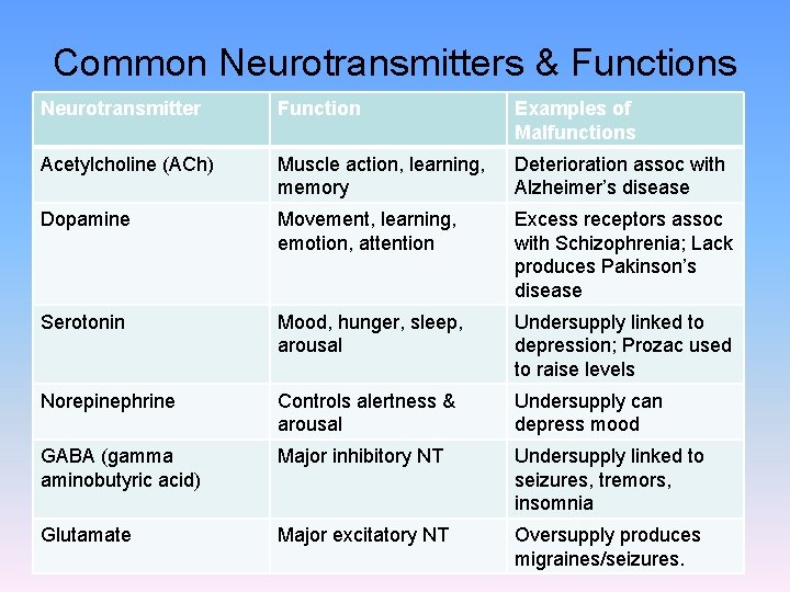 Common Neurotransmitters & Functions Neurotransmitter Function Examples of Malfunctions Acetylcholine (ACh) Muscle action, learning,