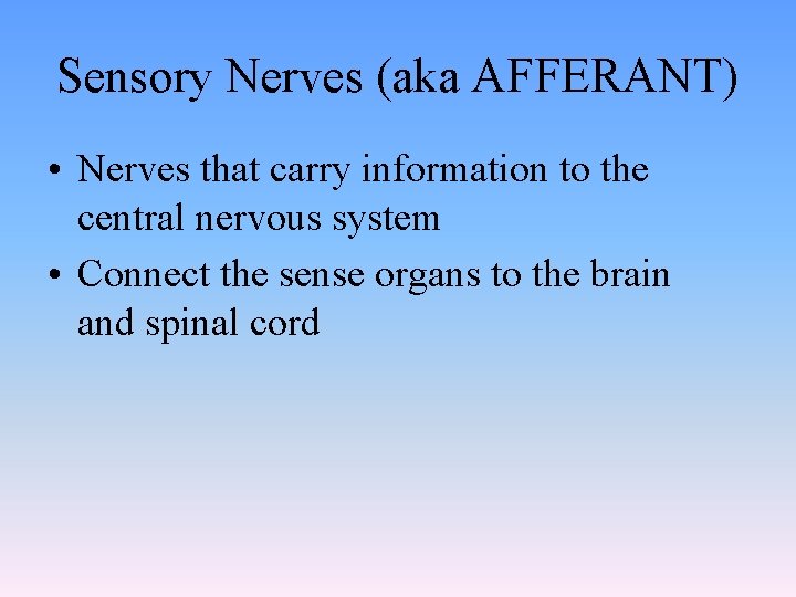 Sensory Nerves (aka AFFERANT) • Nerves that carry information to the central nervous system