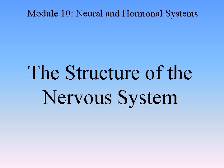 Module 10: Neural and Hormonal Systems The Structure of the Nervous System 