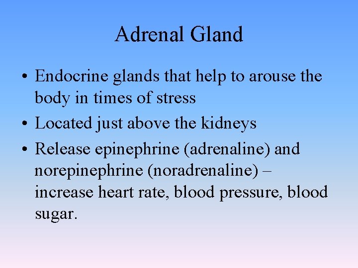 Adrenal Gland • Endocrine glands that help to arouse the body in times of