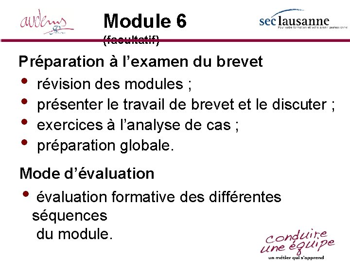 Module 6 (facultatif) Préparation à l’examen du brevet • révision des modules ; •