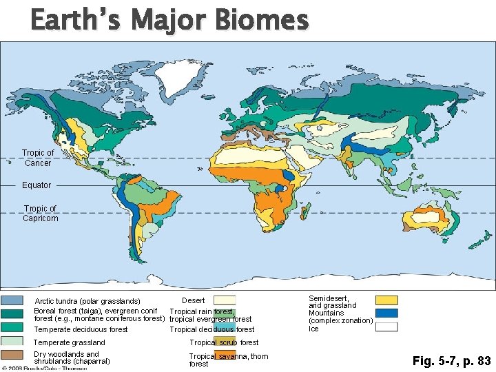 Earth’s Major Biomes Tropic of Cancer Equator Tropic of Capricorn Desert Arctic tundra (polar