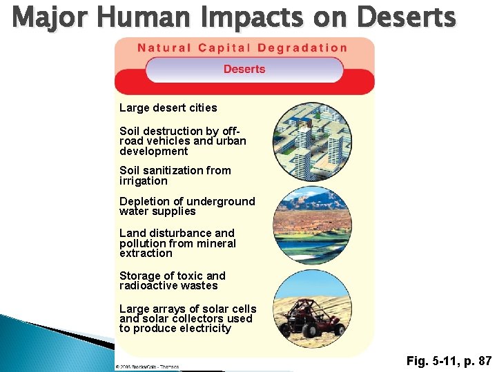 Major Human Impacts on Deserts Large desert cities Soil destruction by offroad vehicles and