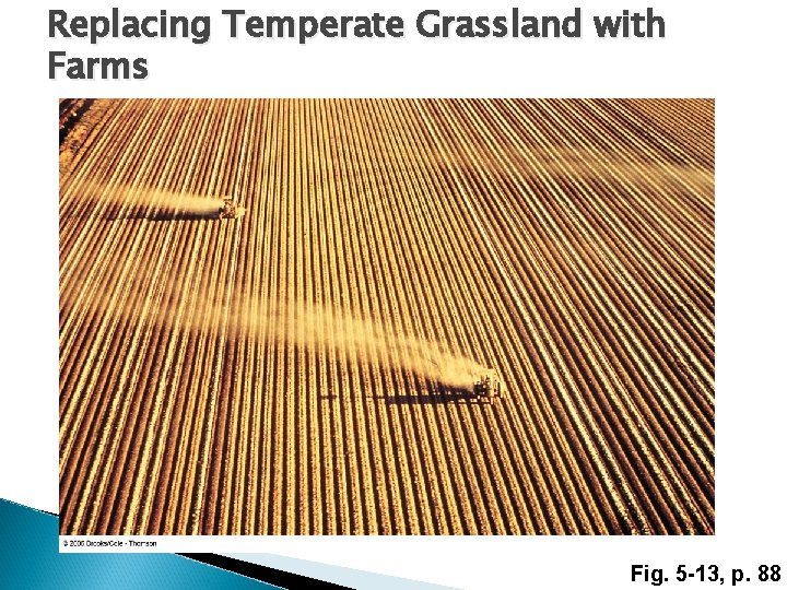 Replacing Temperate Grassland with Farms Fig. 5 -13, p. 88 