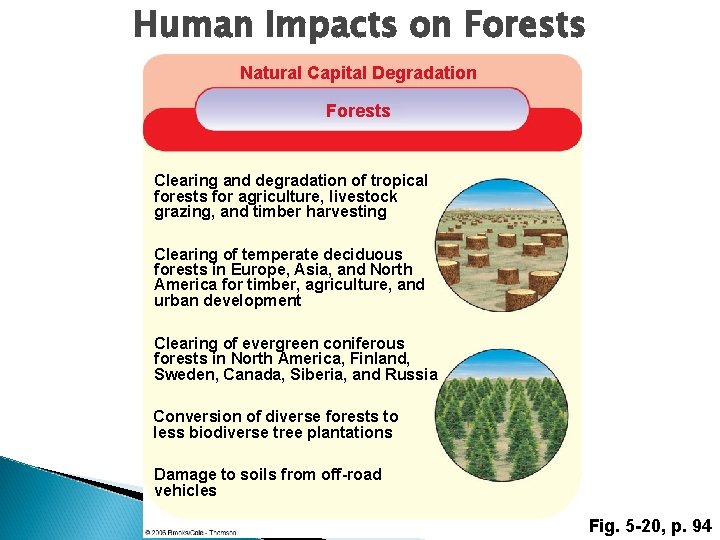 Human Impacts on Forests Natural Capital Degradation Forests Clearing and degradation of tropical forests