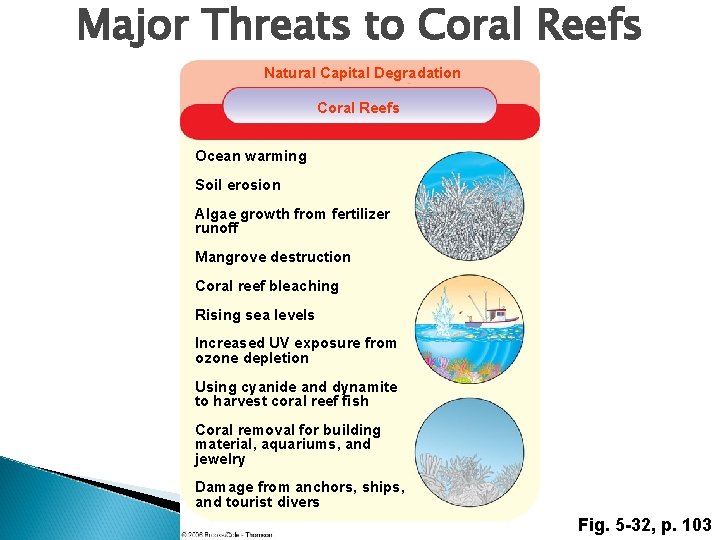 Major Threats to Coral Reefs Natural Capital Degradation Coral Reefs Ocean warming Soil erosion