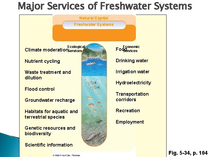 Major Services of Freshwater Systems Natural Capital Freshwater Systems Ecological Economic Climate moderation. Services