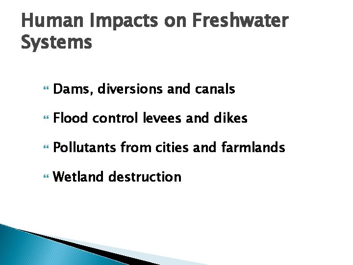 Human Impacts on Freshwater Systems Dams, diversions and canals Flood control levees and dikes