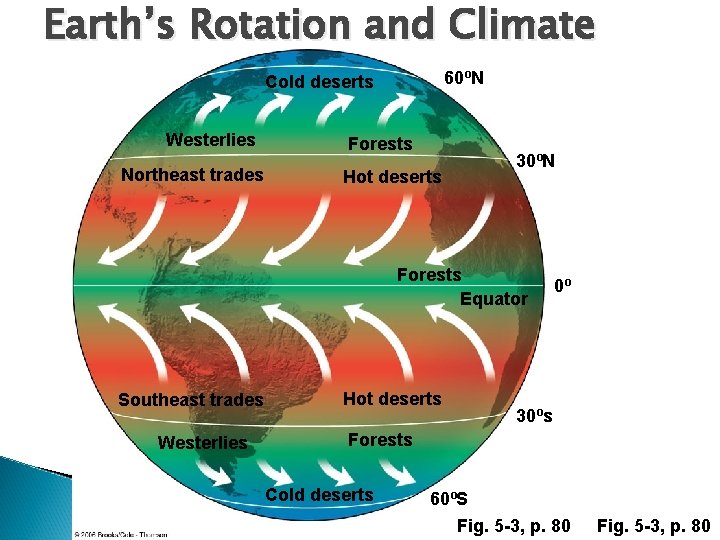 Earth’s Rotation and Climate 60ºN Cold deserts Westerlies Northeast trades Forests Hot deserts 30ºN