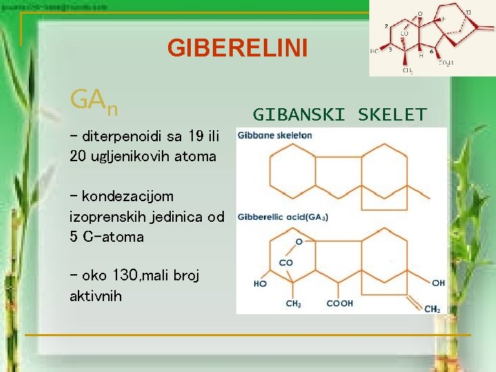 GIBERELINI GAn - diterpenoidi sa 19 ili 20 ugljenikovih atoma - kondezacijom izoprenskih jedinica